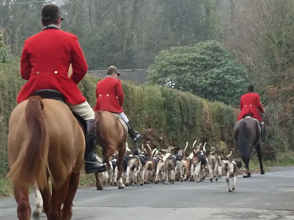 Police investigate incident involving local hunt in Ryedale