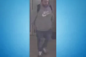 Cash and jewellery stolen in York burglary