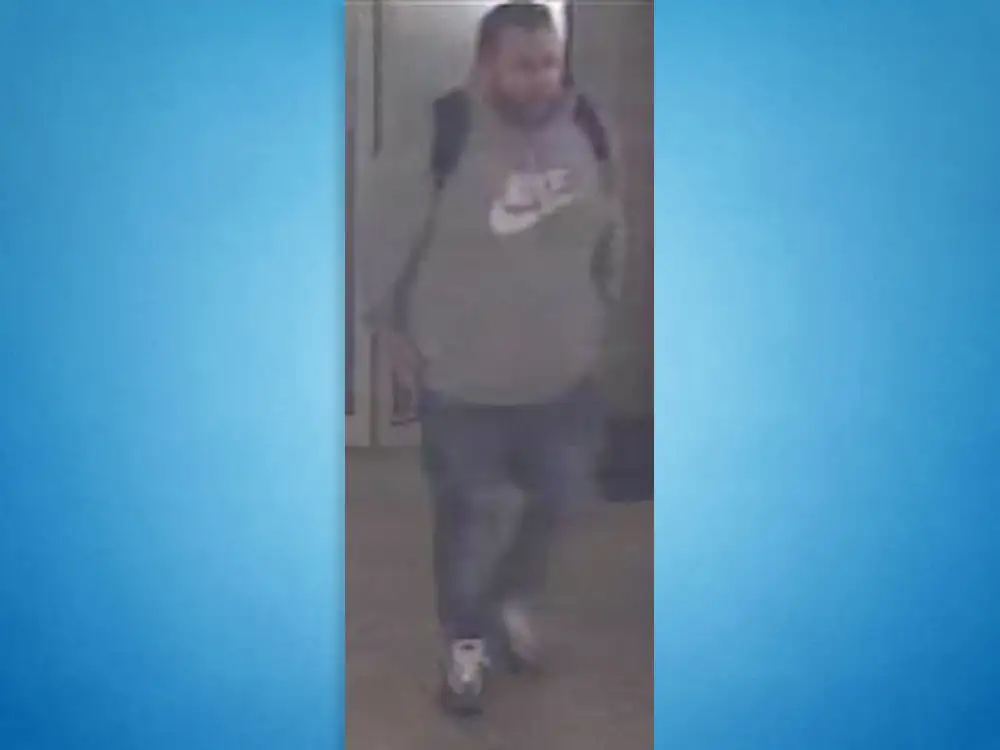 Cash and jewellery stolen in York burglary