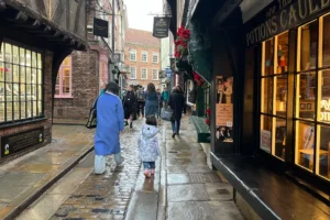 Handbag theft on Shambles in York