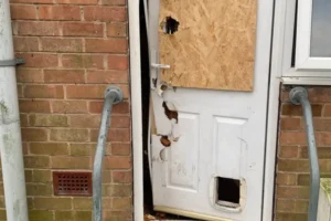 Drugs raid at house in York suburb – Woman in her 50s under investigation