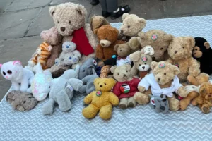 Teddy bear protest held in centre of York