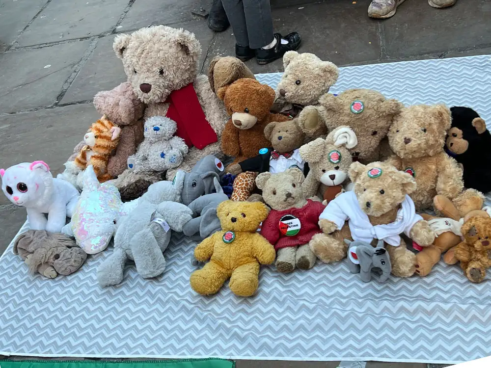 Teddy bear protest held in centre of York