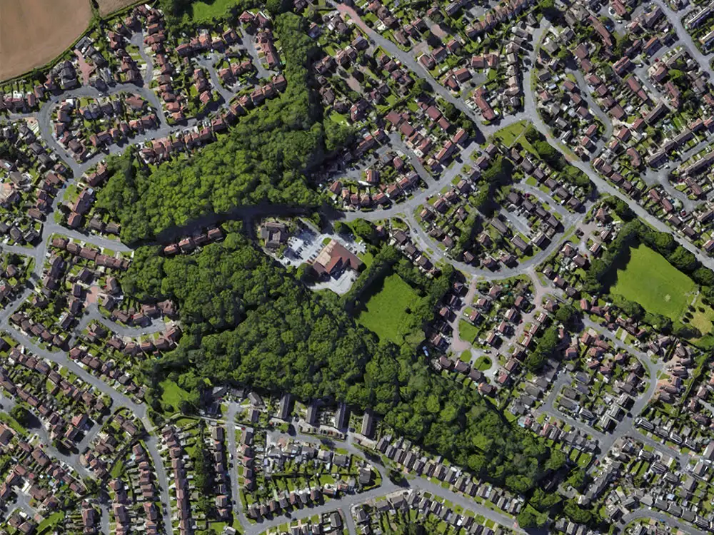 Fire started deliberately in York wood
