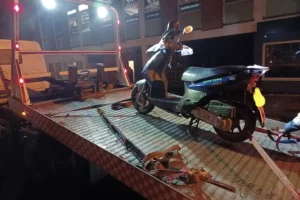 Gang stealing moped in York arrested after police chase