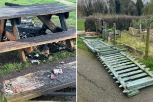 ‘This is not acceptable’ – Police release pictures of York vandalism and arson