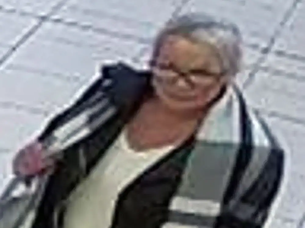 Theft at York Designer Outlet – Police release CCTV