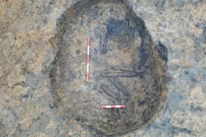 Human remains found near York are around 4,500 years old