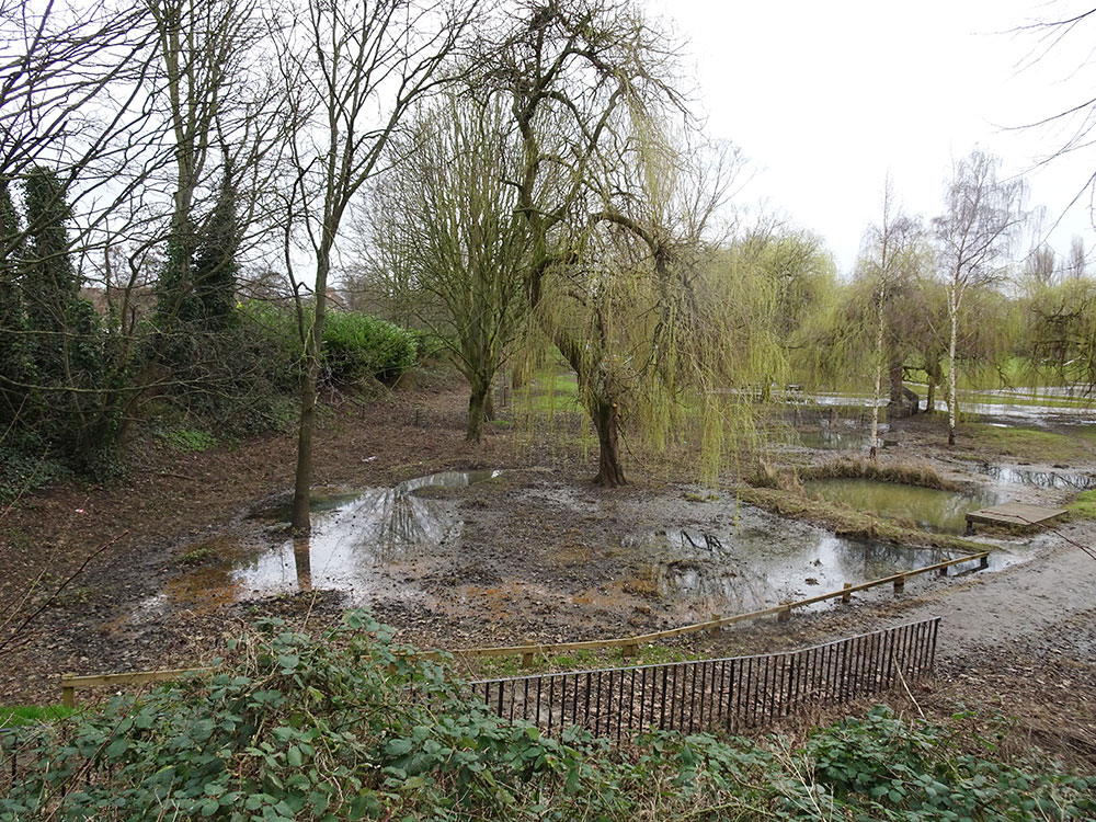 Rowntree Park sets reopening date after being closed for months