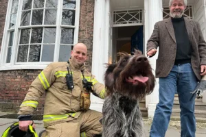 York firefighters race to rescue a dog – called Blaise!