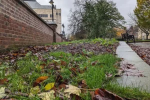 ‘Underused and often missed’ York gardens to enjoy £6K makeover