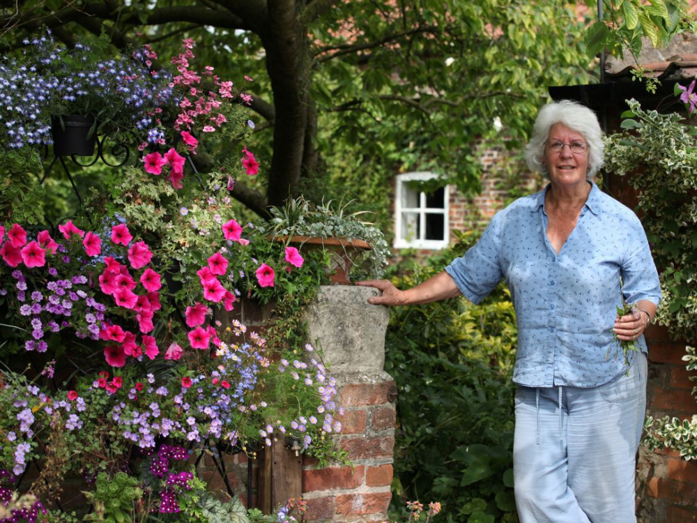 York plant nursery celebrates 40 years
