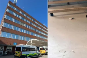 ‘My York Hospital nightmare’: Syringes on the floor, drug mix-ups and patients left in agony