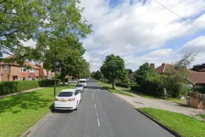 Cat shot by air gun in York