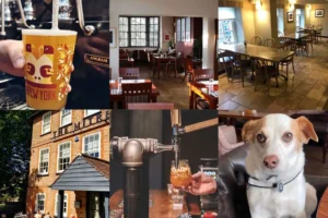 ‘Fantastic news!’ Brew York opens new pub today