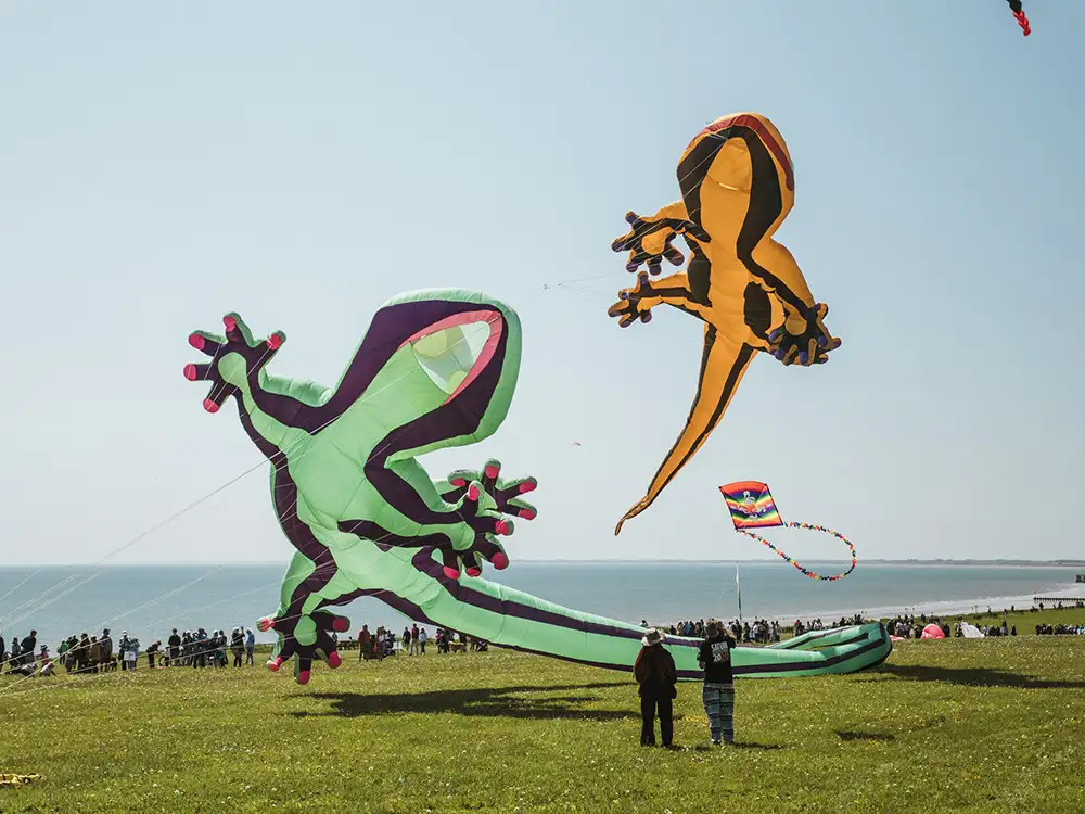 See some of the world’s largest kites at Yorkshire seaside festival