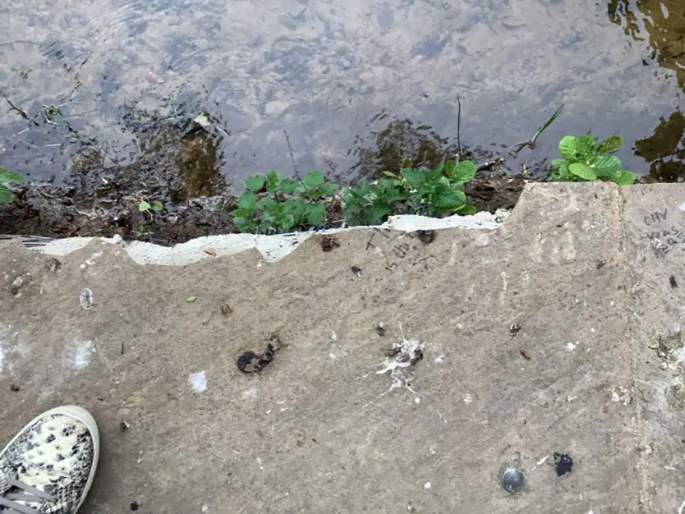 Police investigating criminal damage near North Yorkshire museum