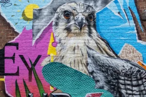 ‘Incredible’ new street art in York revealed in its full glory