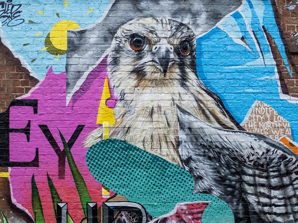‘Incredible’ new street art in York revealed in its full glory
