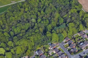 Moped set on fire in York woods