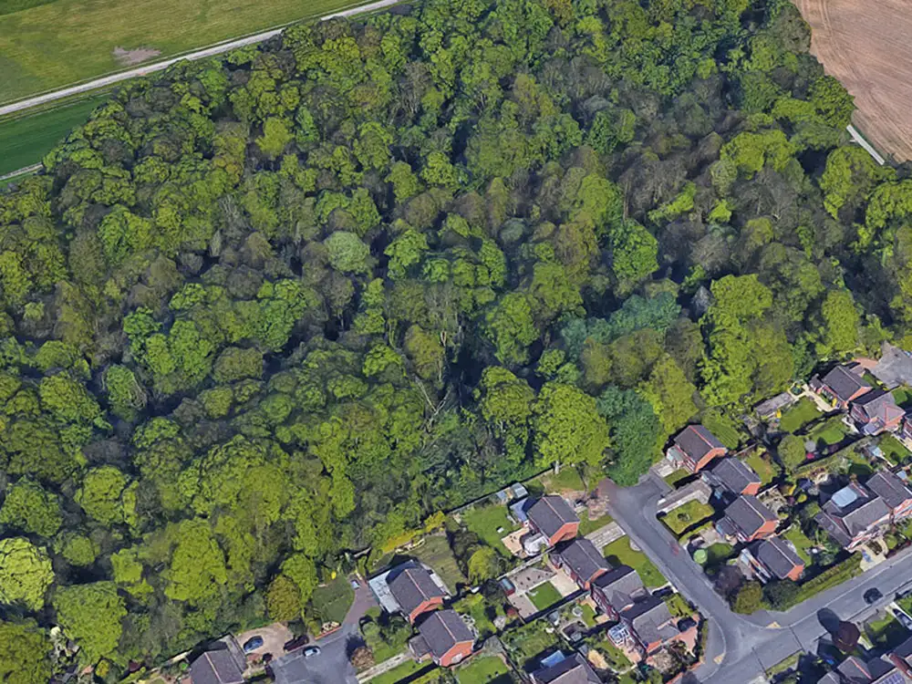 Moped set on fire in York woods