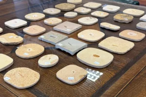 Smuggled fossils recovered by police in North Yorkshire to be returned to Brazil
