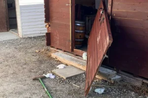 ‘Devastating’: Vandals strike at York attraction