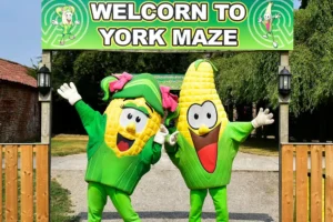 York Maze reveals their design for 2024 – which marks a special anniversary