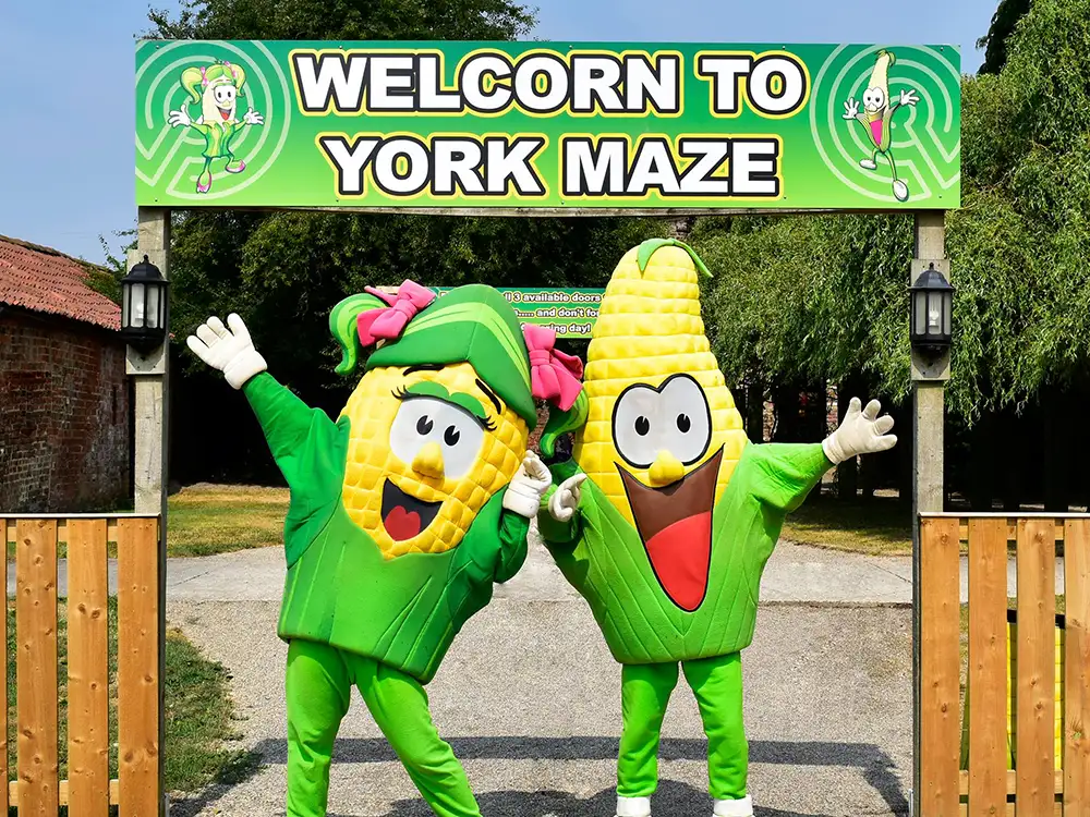 York Maze reveals their design for 2024 – which marks a special anniversary