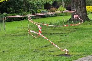 Vandals strike at York Museum Gardens – Incident linked to duckling deaths