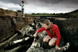 'Britain's oldest house' to be built in York Museum Gardens