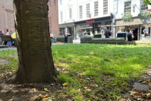 Unheard York: When living on the streets is safer than the ‘prison’ of a house