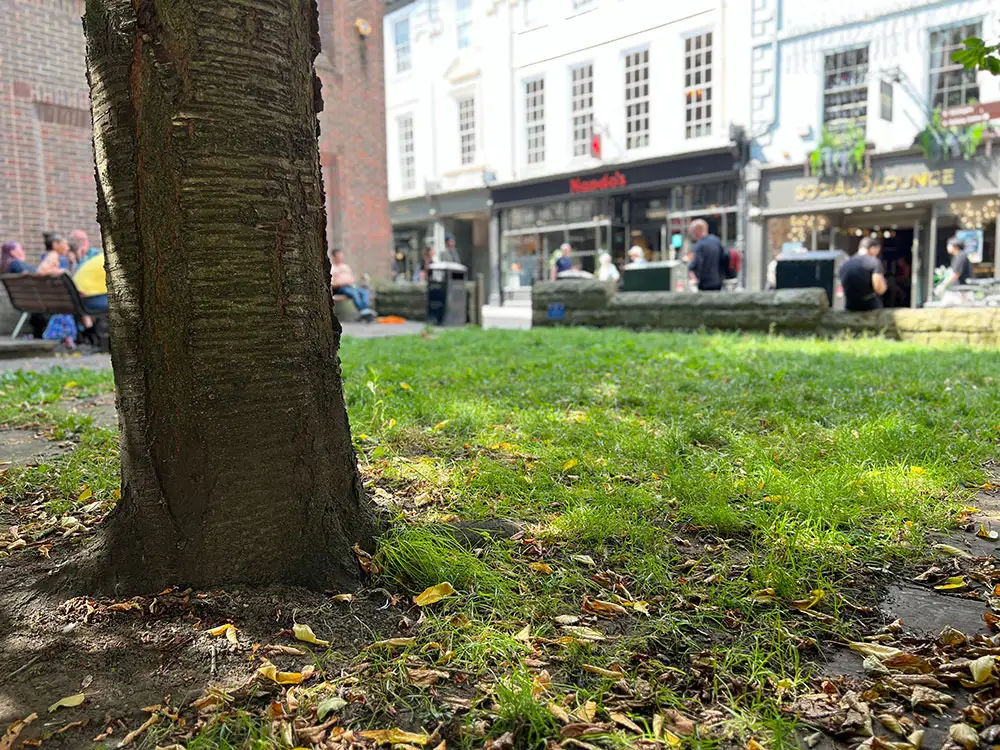 Unheard York: When living on the streets is safer than the ‘prison’ of a house