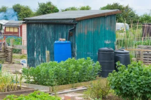York allotments vandalised causing £500 damage