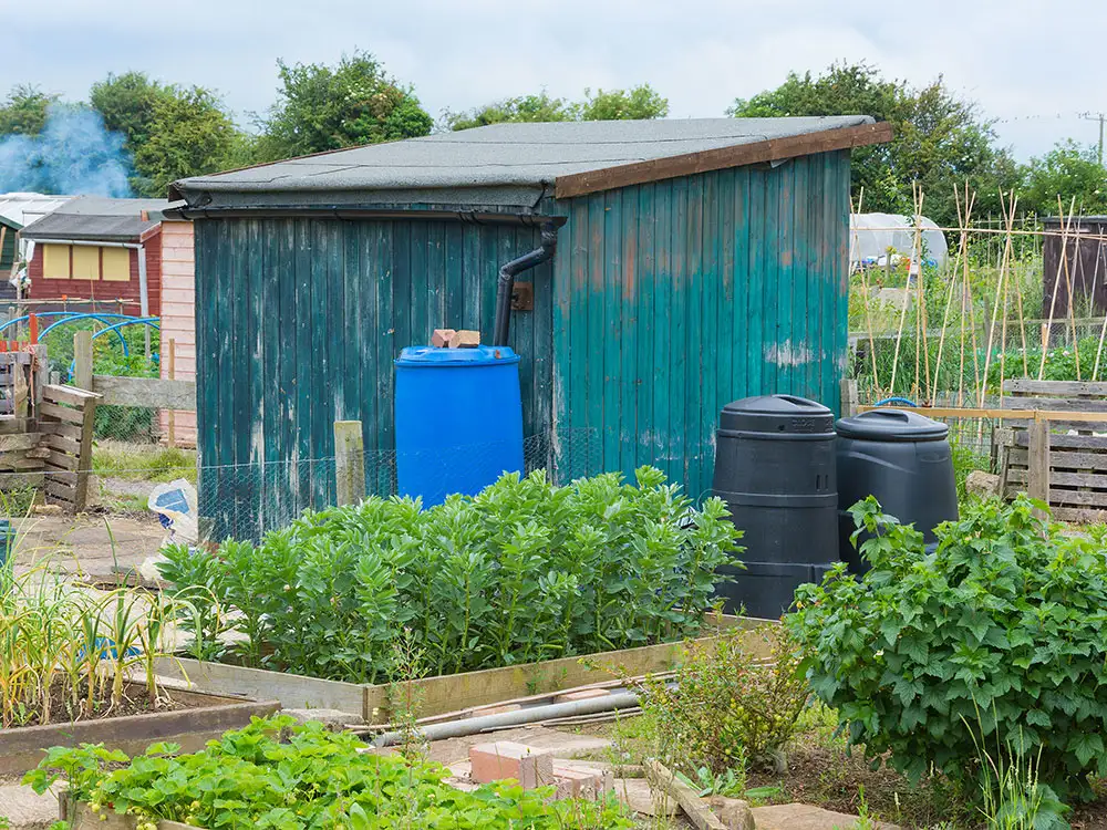 York allotments vandalised causing £500 damage