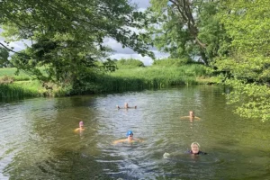 New wild swimming haven in York becomes ‘happy place’ for many