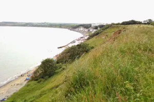 Youths throw bottles off cliff nearly hitting families on popular beach
