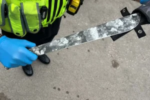 Children find machete while playing at York nature reserve