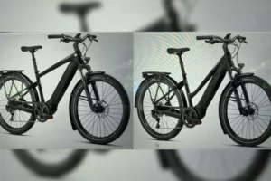 E-bikes stolen from York city centre in broad daylight – do you have any information?