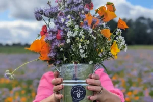 Pick your own bouquet at this North Yorkshire flower farm with 10 acres of blooms