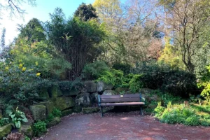 Three people get locked in York park