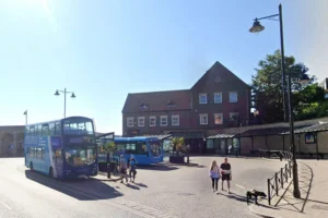 Dog riding in a pushchair attacked by another dog at seaside resort