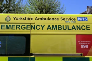 York woman injured by falling ladder