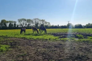 Concern over growing number of holiday homes planned for village near York