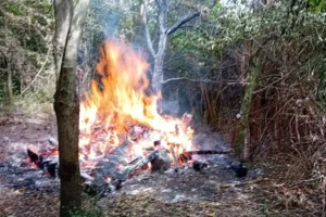 ‘The flames were horrific’ – Anger as vandals torch York community project