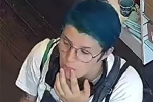 CCTV released after York gift shop theft