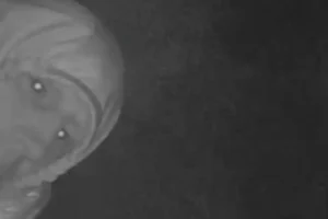 York ‘CCTV thief’ caught on camera – Do you know him?