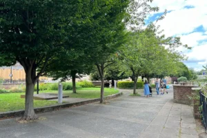 York gardens set to be transformed – with new floral displays, street art and library