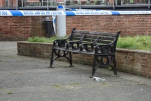 Girl was raped in York by two different men on the same night, court hears