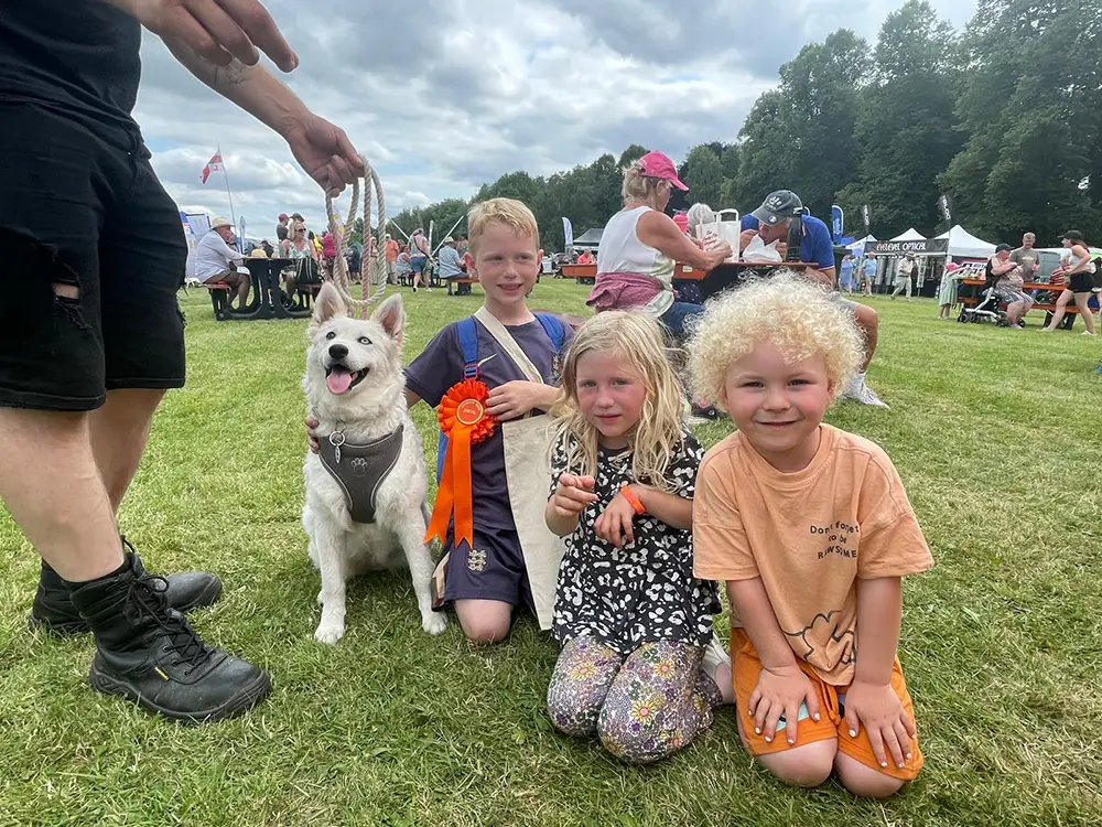 Cows, sheep and dogs – do you feature alongside them in our Ryedale Show gallery?